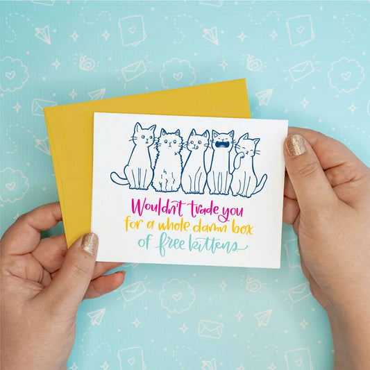 Box of Free Kittens Greeting Card